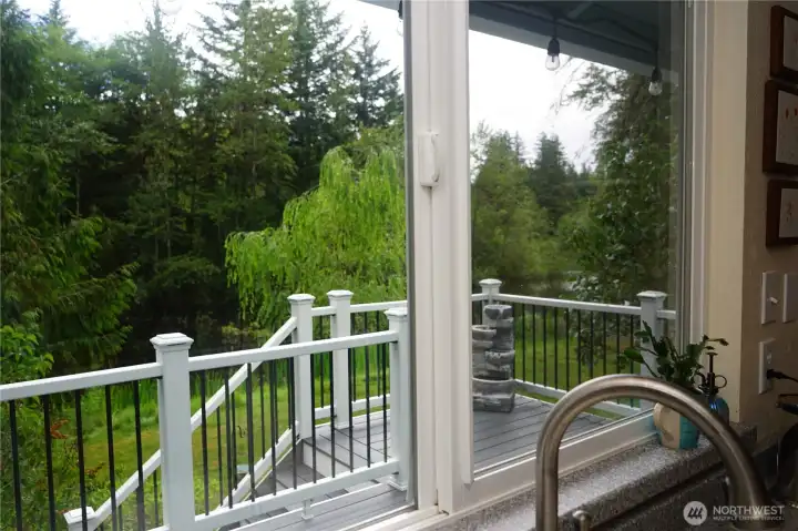 View from the kitchen window.