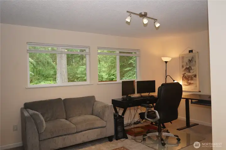 Large bonus room on the lower level with many possible uses.