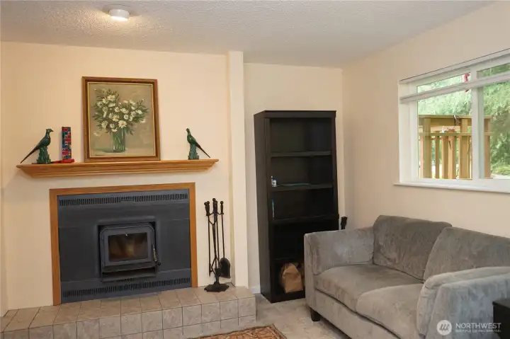 Wood burning  stove in the lower level bonus room.