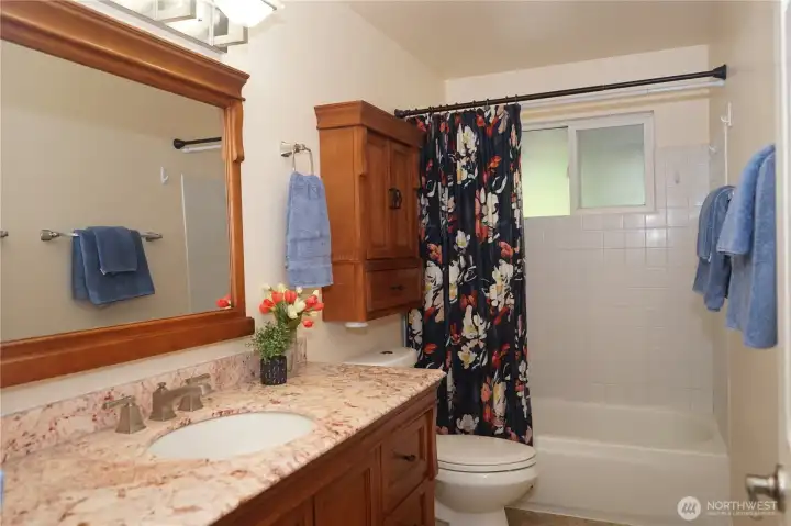 Lower level bathroom with tub/shower combo.