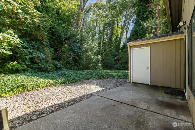 Private back yard with green view