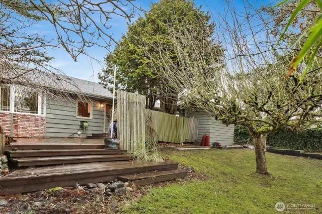 Large yard with fruit trees and garden space.