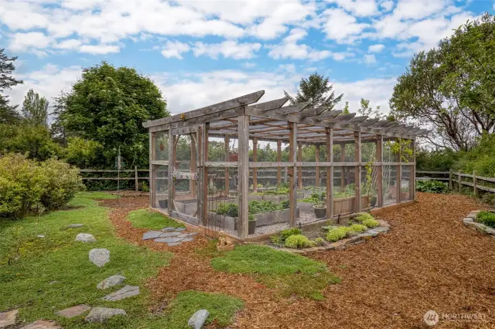 Fully enclosed kitchen garden with raised beds.