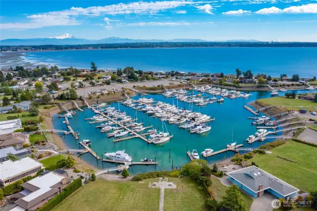 All of the Birch Bay Village amenities including the marina!