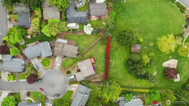 Chevy Chase Neighborhood Park.  All of this right outside your backyard.