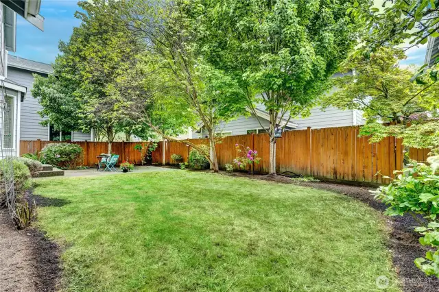 Room for gardening, your favorite flowers or tomatoes.