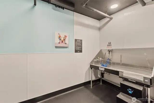 Pet wash