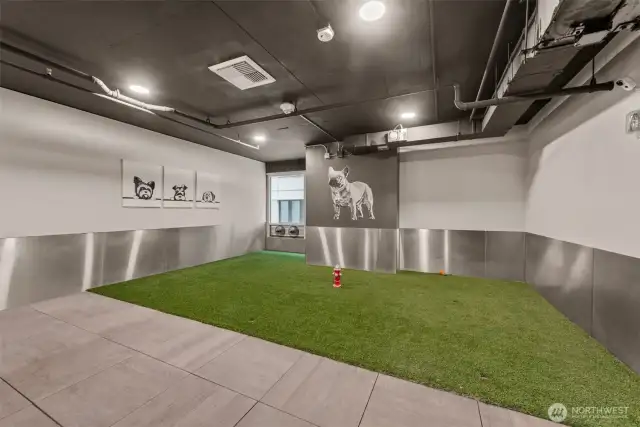 Pet activity room
