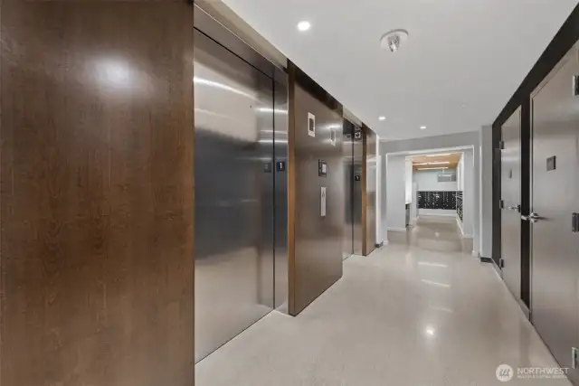 Elevater