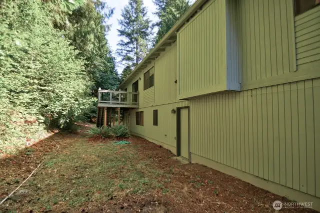 Low maintenance backyard that backs up to your own forest.  Make your own trails!