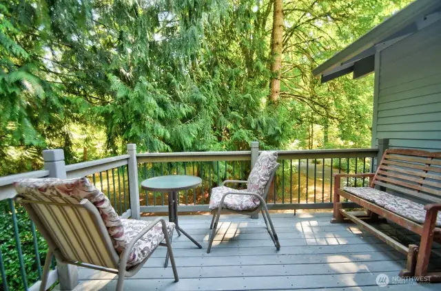 Back deck for relaxing or entertaining.