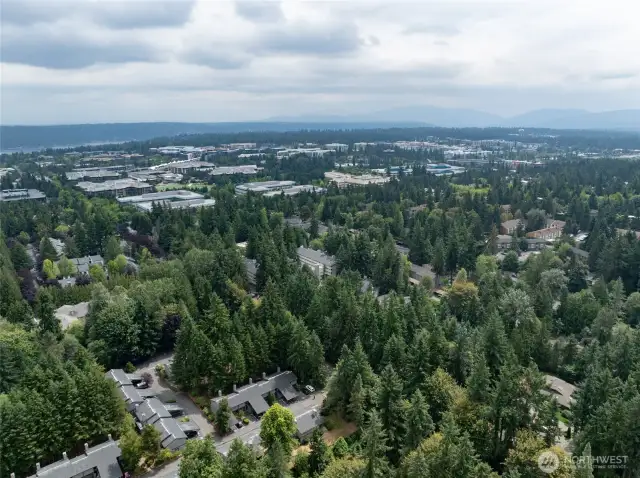 Easy Access to shopping, dining, parks & freeways