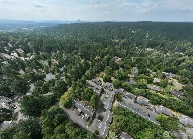 Minutes to Microsoft, Downtown Redmond, Bellevue & Kirkland