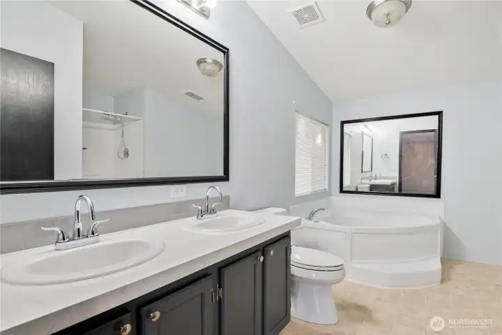 primary suite with walk in closet