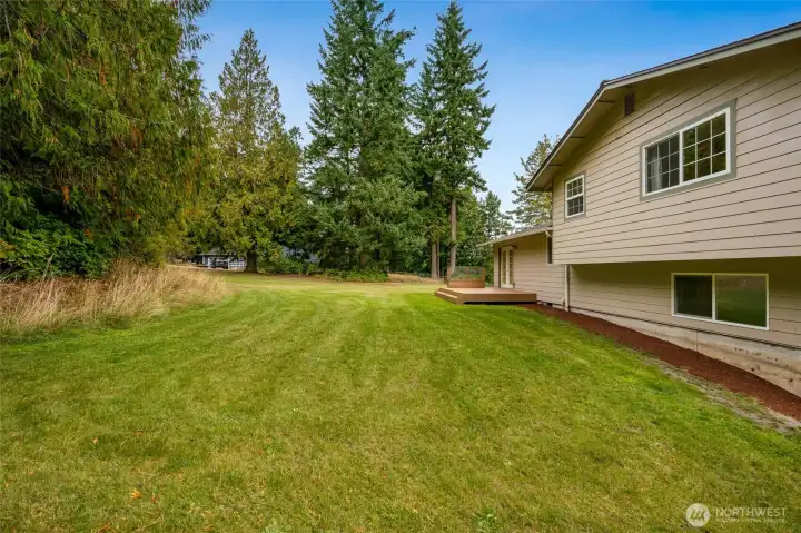 Backyard with Patio