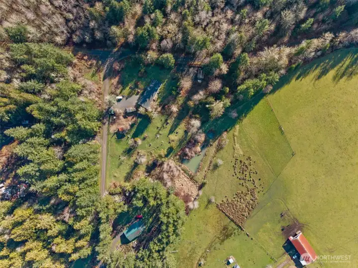 room for animals garden and camping