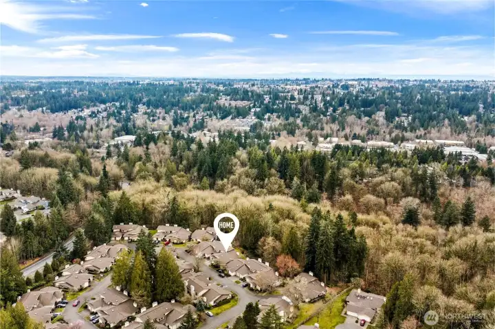 In the middle of it all