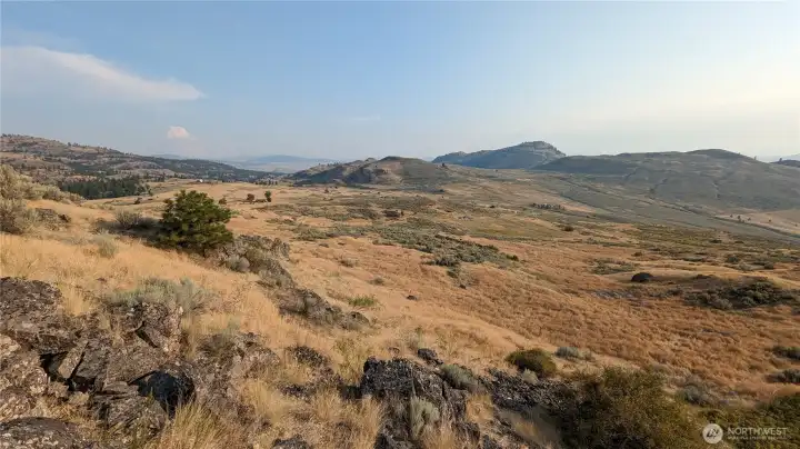 The view from the north end of the property looking south accross the property.