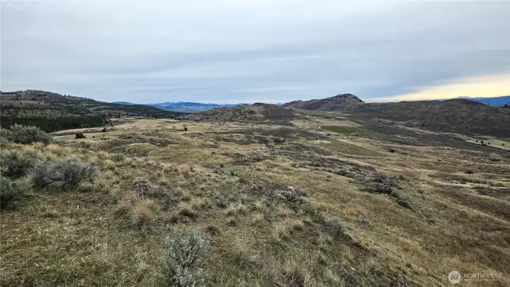 Shot from the center-west end. Ideal orientation for a sun-drenched breakfast nook. Power at the street; minutes to Tonasket/Oroville. Bring your ideas!