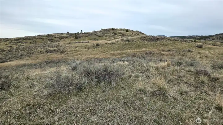 Center of the property looking North