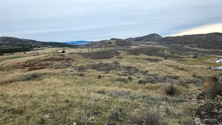 Expect a carpet of wildflowers soon!.