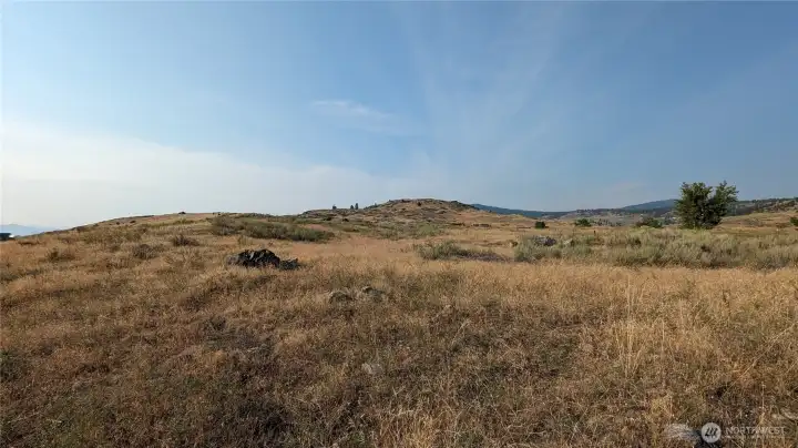 Summertime looking North from southern area of property.