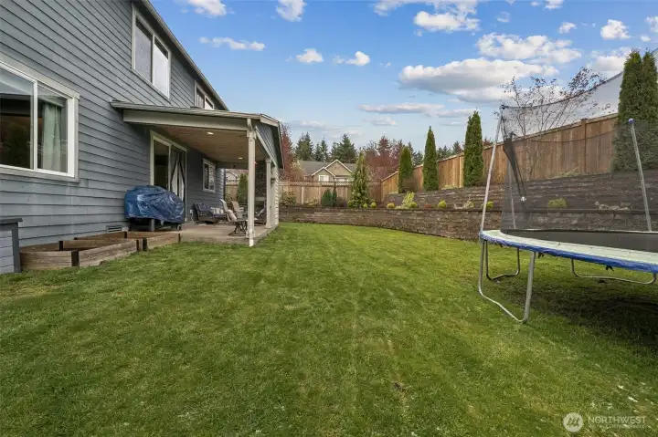 Large, level back yard