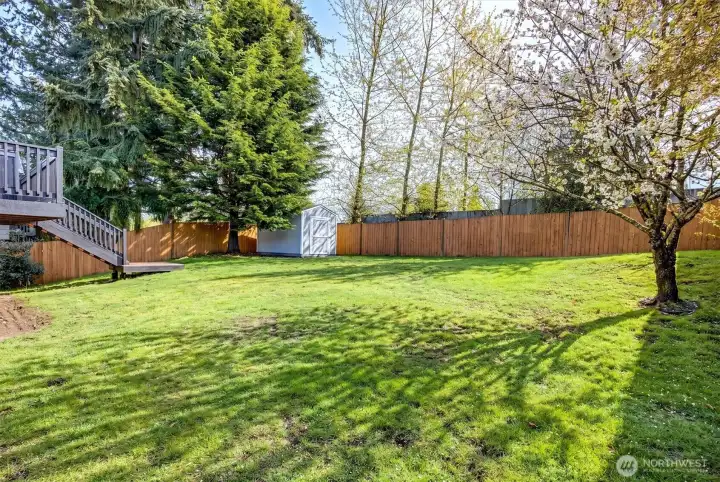 Expansive fully fenced backyard