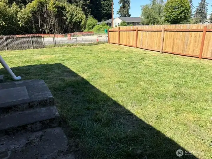 Back Yard