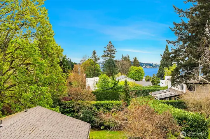 Potential view from 2nd story.