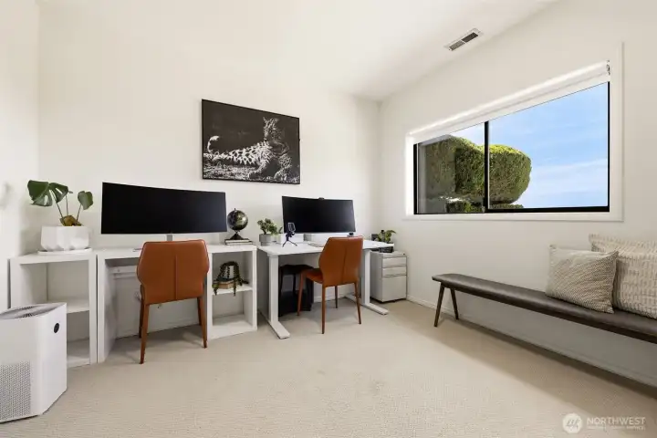 A lower-level bedroom that also works well as a home office or guest space.