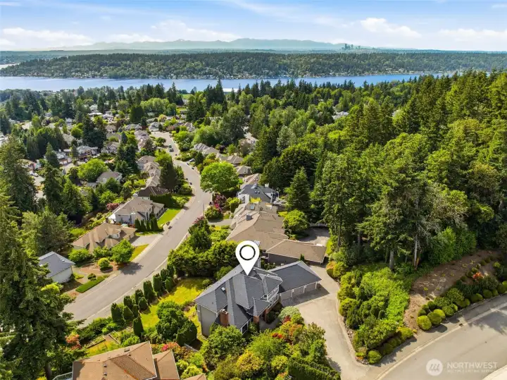 Another aerial perspective highlights the Lake Washington setting.