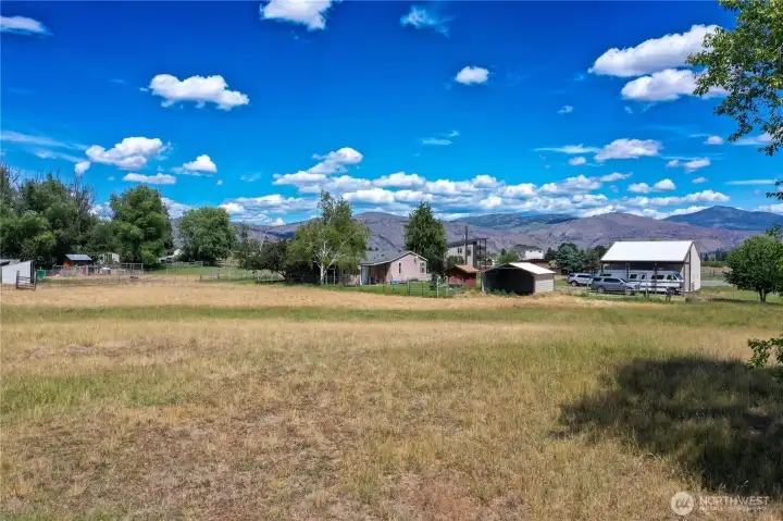 Field