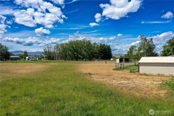 Field