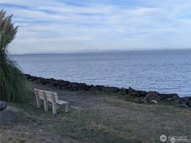 Sit and whale watch on the bay