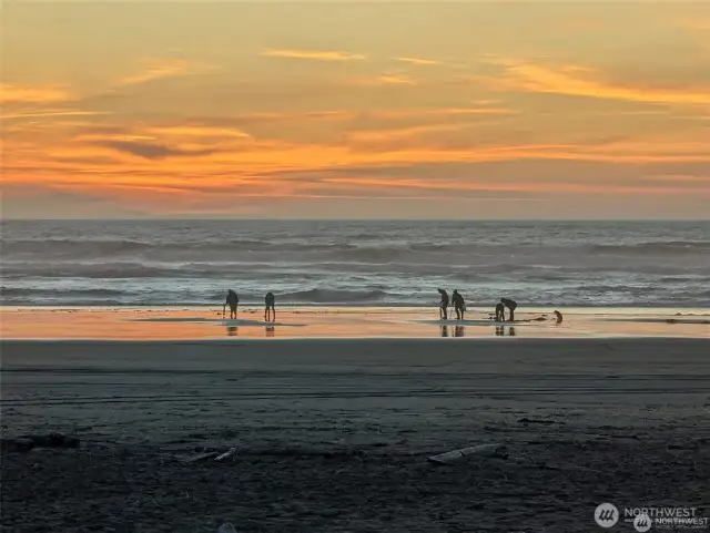 Clam digging, crabbing, fishing and miles of sandy beaches to explore