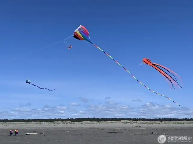 Go fly a kite