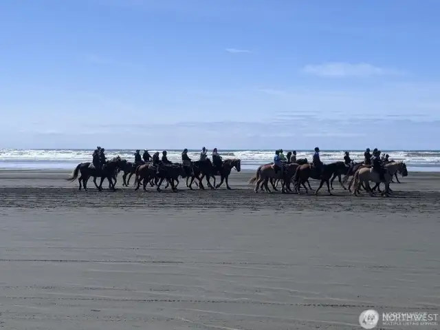 Go horseback riding on the beach