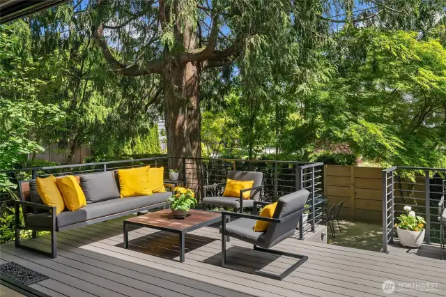 A close up view of the entertaining deck...