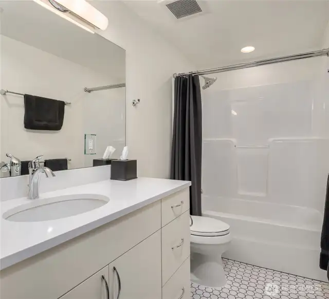 Lower level full bathroom.