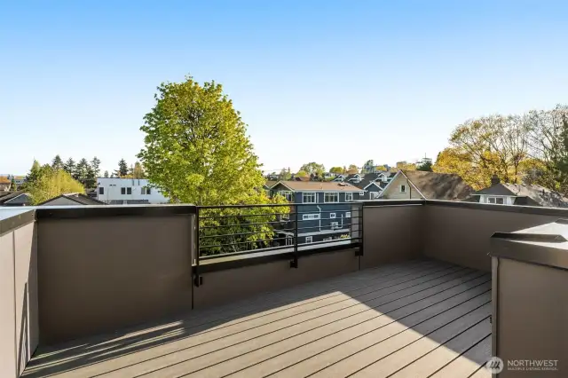 With space for lounging, dining, and entertaining, this rooftop retreat redefines indoor/outdoor living in the city's heart.