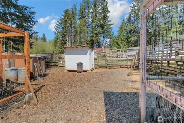 Chicken area