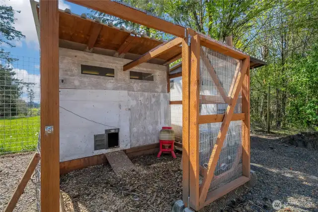 Chicken coop inside chicken area.