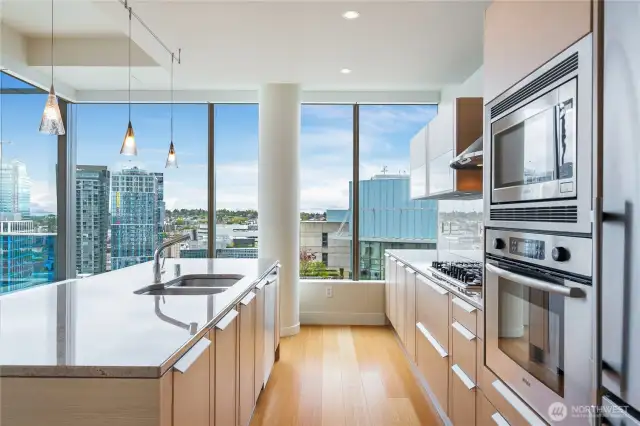 Modern chef's kitchen.
