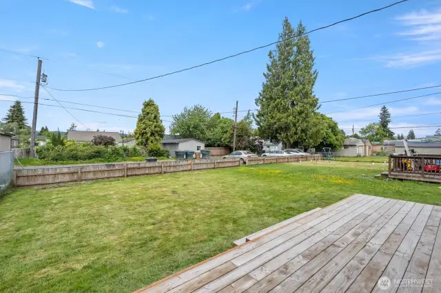 Back Yard