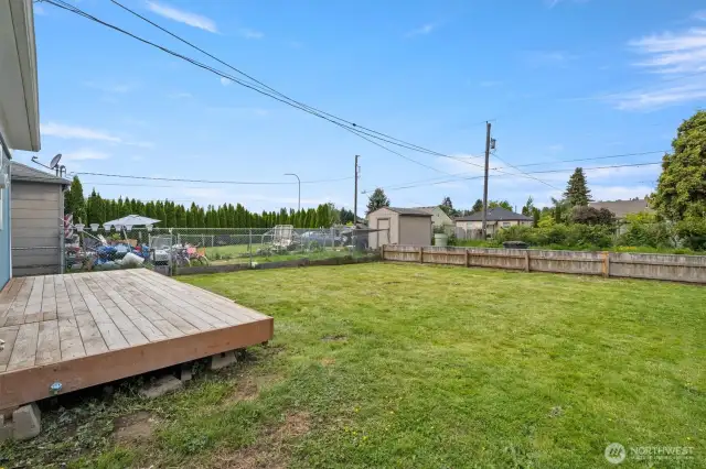 Back Yard