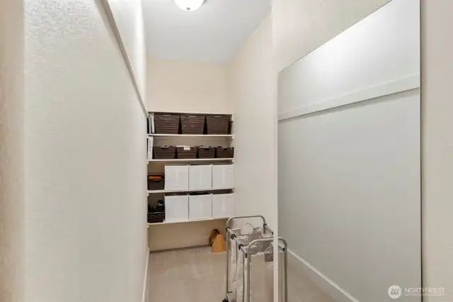 Owner Suite walk in closet