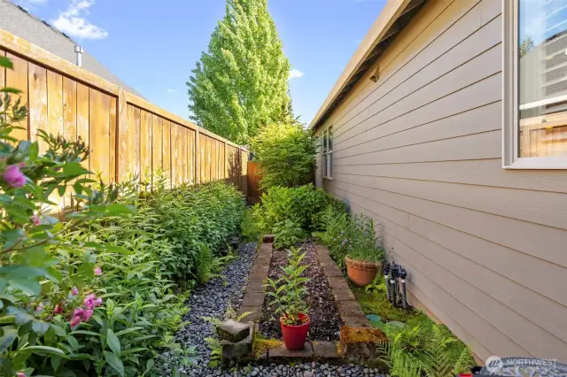 Garden area
