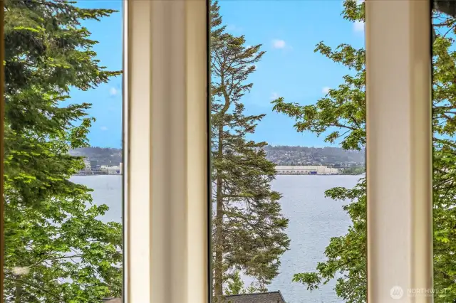Lake & Mt. Rainier views while watching the eagles soar and play in the tree right in front
