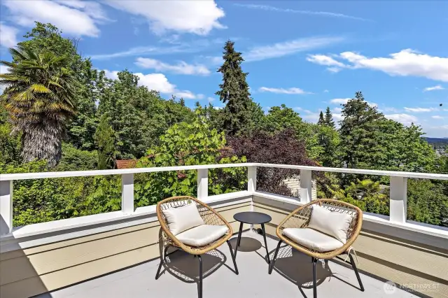 Roof top deck with more views. Recently upgraded with a TPO material for decades of protection. Tasteful roofing tiles to be added shortly